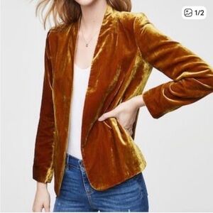LOFT Golden Velvet Blazer